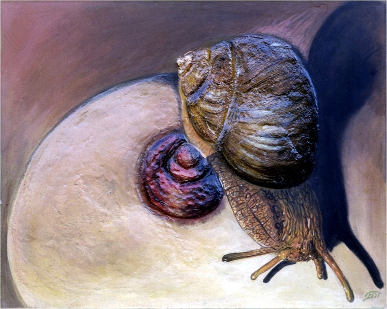 erotic-art-frauenbilder-akt-fine-art-gemaelde-malerin-christine-dumbsky-brust-busen-schnecke