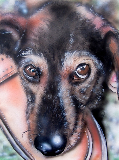 hundeportrait-hund-portrait-gemalt-gemaltes-tierportrait-tier-bild-dackel-rauhaardackel-christine-dumbsky_5686
