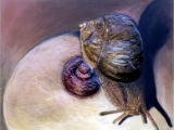 erotic-art-frauenbilder-akt-fine-art-gemaelde-malerin-christine-dumbsky-brust-busen-schnecke.jpg